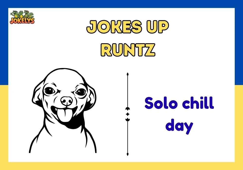 jokes up runtz