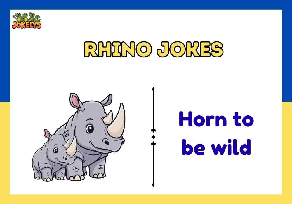 Rhino Jokes